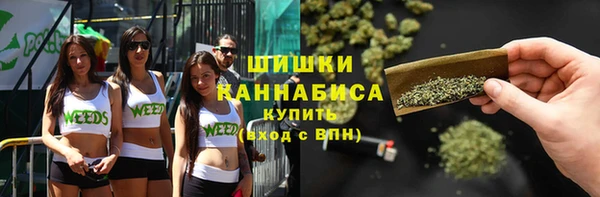 сатива Алзамай