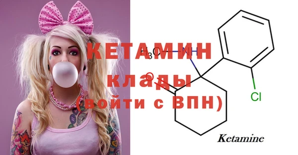 крисы Алексин