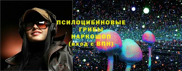 крисы Алексин