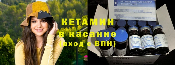 крисы Алексин